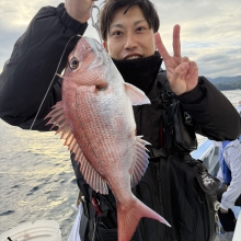 ダミー画像