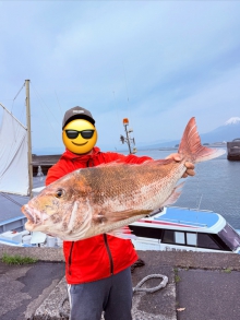 ダミー画像